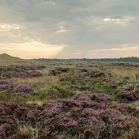 Casa vacanze 8 Person In