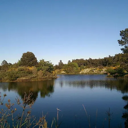 Ferienhaus 8 Person In Ålbæk