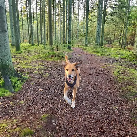 Ferienhaus 8 Person In Ålbæk