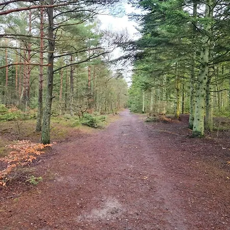 8 Person In Casa vacanze Ålbæk