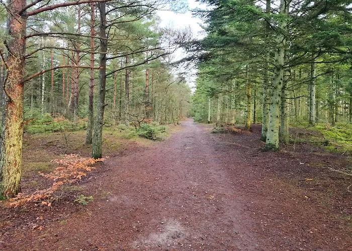 8 Person In Hébergement de vacances Ålbæk